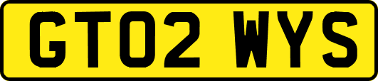 GT02WYS