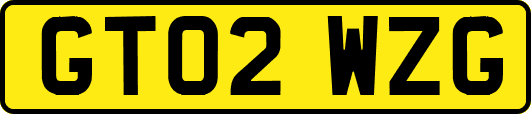 GT02WZG