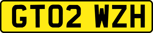 GT02WZH
