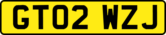 GT02WZJ