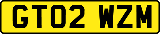 GT02WZM