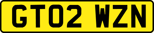GT02WZN
