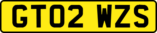 GT02WZS
