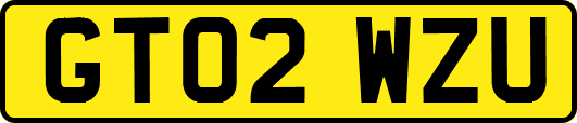 GT02WZU