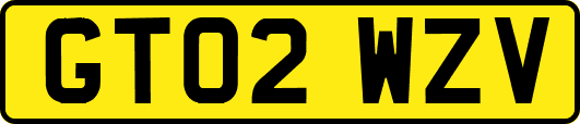 GT02WZV