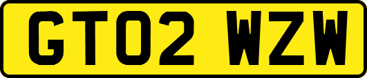 GT02WZW