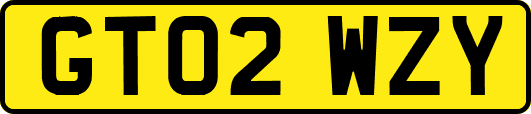 GT02WZY
