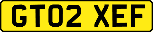 GT02XEF