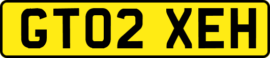 GT02XEH
