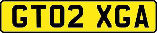 GT02XGA
