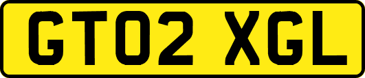 GT02XGL