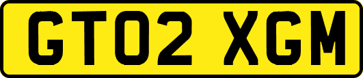 GT02XGM