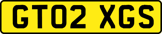 GT02XGS
