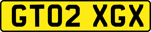 GT02XGX