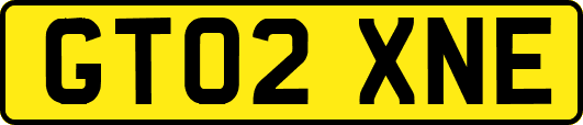 GT02XNE