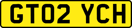 GT02YCH