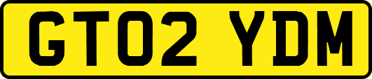GT02YDM