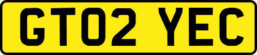 GT02YEC