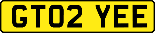 GT02YEE