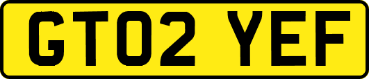 GT02YEF