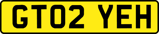 GT02YEH