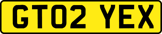 GT02YEX