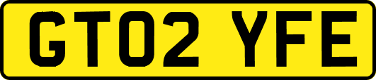 GT02YFE