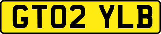 GT02YLB