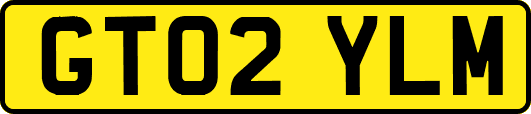 GT02YLM