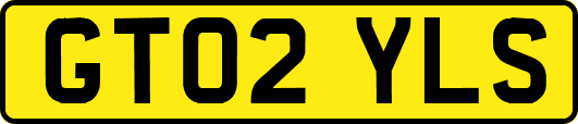 GT02YLS