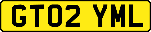 GT02YML