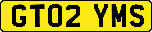 GT02YMS