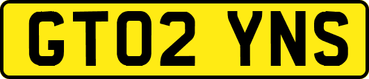 GT02YNS