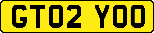 GT02YOO