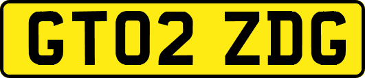 GT02ZDG