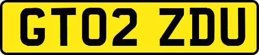 GT02ZDU