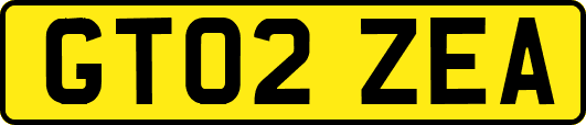 GT02ZEA
