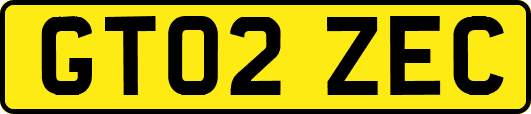 GT02ZEC