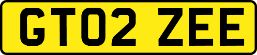 GT02ZEE