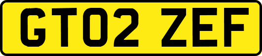 GT02ZEF