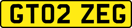 GT02ZEG