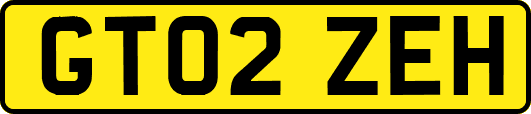GT02ZEH