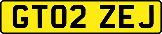 GT02ZEJ