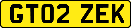 GT02ZEK