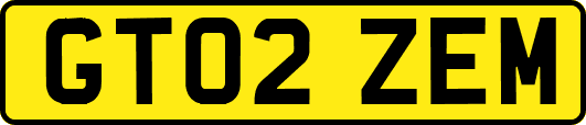 GT02ZEM