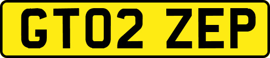 GT02ZEP