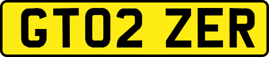 GT02ZER