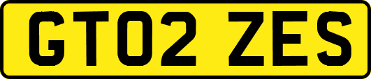 GT02ZES