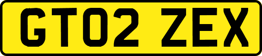 GT02ZEX