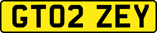 GT02ZEY